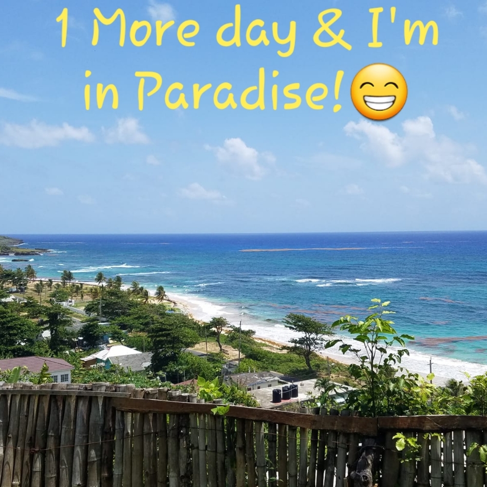 Meet your Posher, Trudy